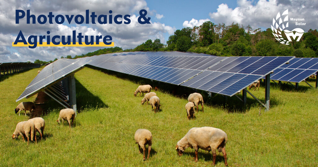 What is Photovoltaic Agriculture?