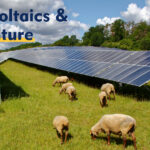 What is Photovoltaic Agriculture?