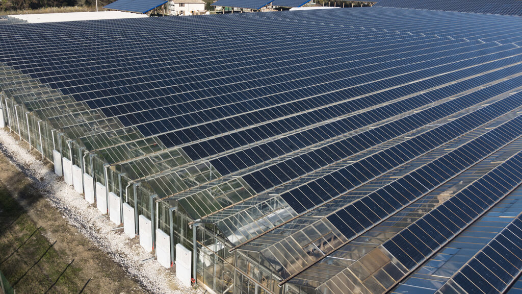 Representative of PV in agri-photovoltaics: PV greenhouse ...