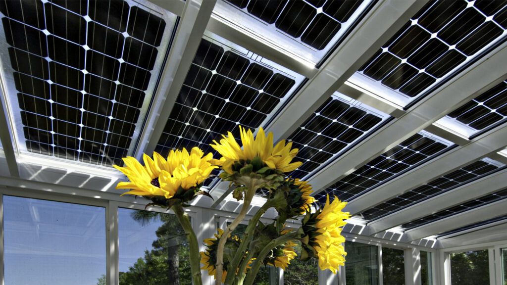 Representative of PV in agri-photovoltaics: PV greenhouse ...