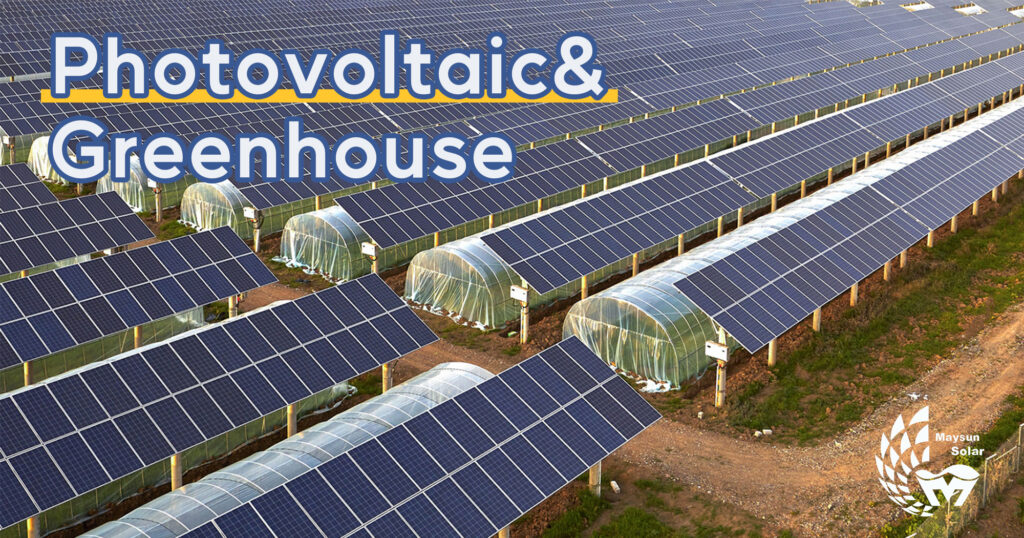 Representative of PV in agri-photovoltaics: PV greenhouse