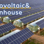 Representative of PV in agri-photovoltaics: PV greenhouse