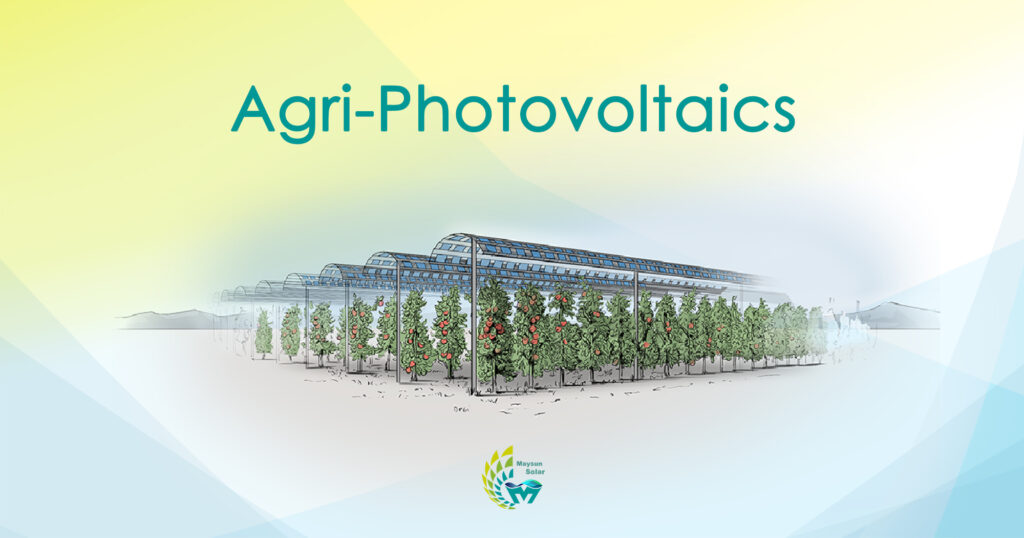Application and role of agricultural photovoltaics