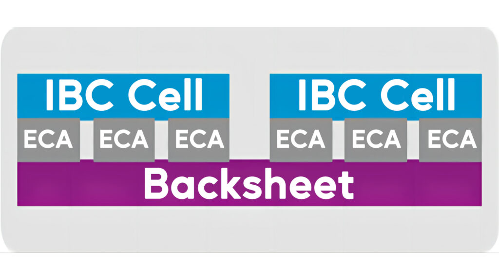 IBC cell , ECA , backsheet