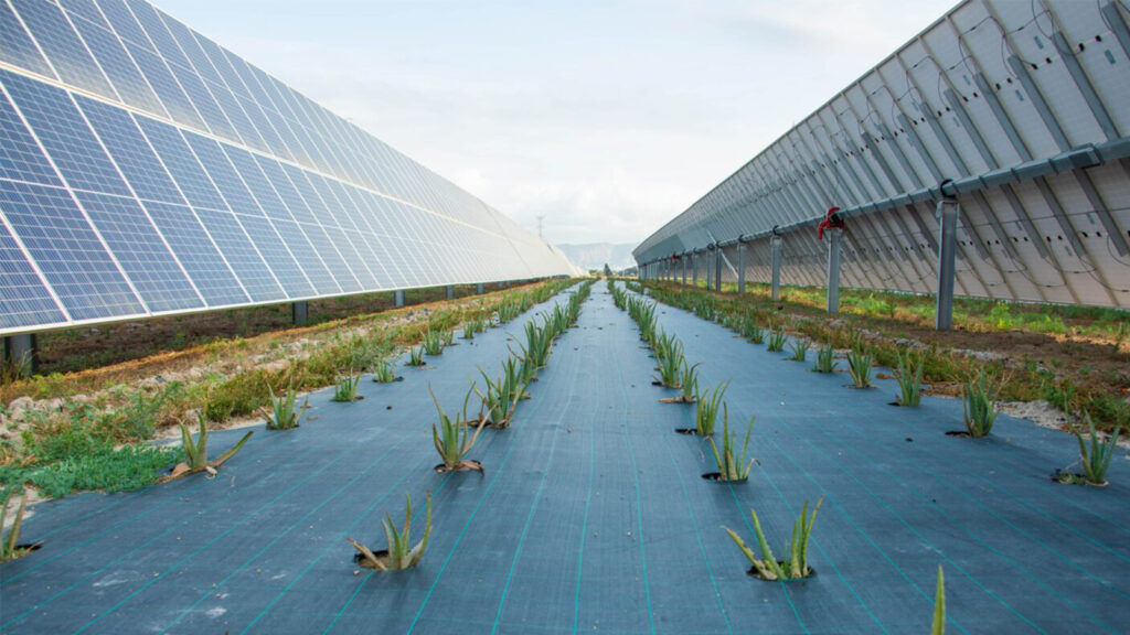 1.Fixed solar panels over crops