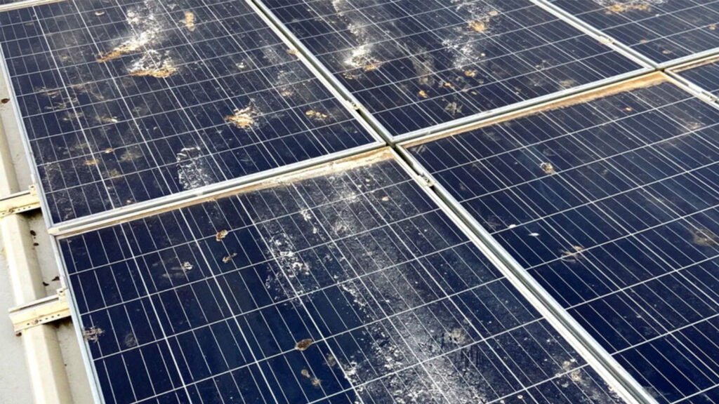 dirty solar panels