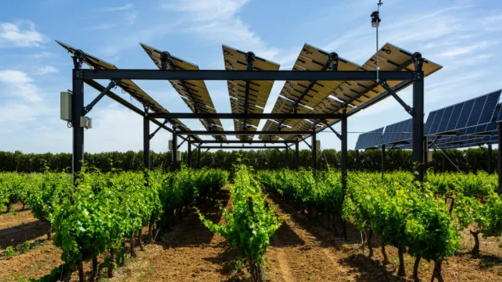 2.Viticulture Agrivoltaics in France by Sun’Agri