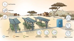 Agrivoltaics: How solar panels are changing agriculture