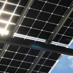 Solar Panel Backsheets