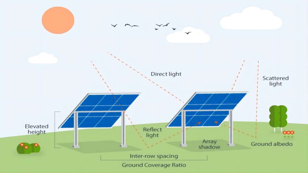 bifacial solar panels