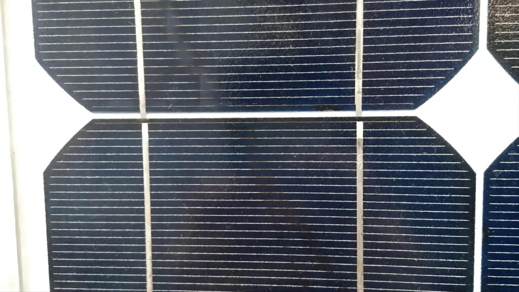 snail trails on solar panels