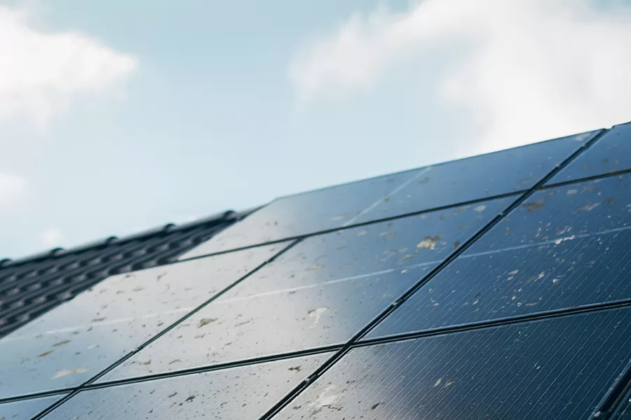 Bird droppings are the most common and highest-risk trigger for hot spots in solar systems.