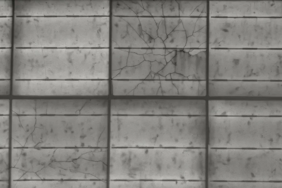 Structural Damage: From Microcracks to Shattering