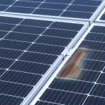 High Season for Shading and Pollution: How Do Leaves and Bird Droppings Trigger Hot Spots in Solar Panels?