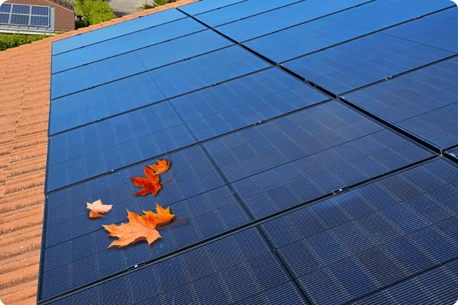 Fallen leaves on the surface of photovoltaic panels in autumn reduce the efficiency of electricity generation.