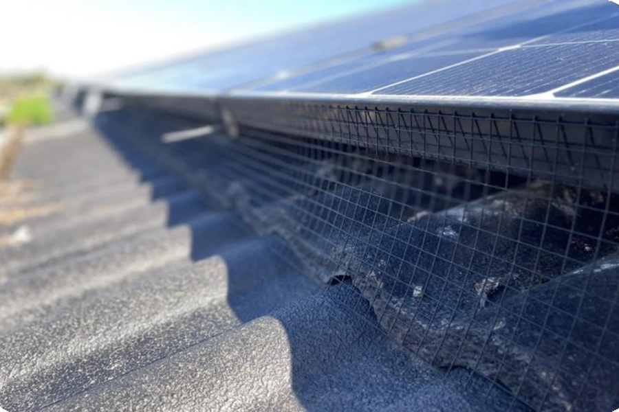Rooftop photovoltaic system with an installed bird net to restrict dust and nesting.