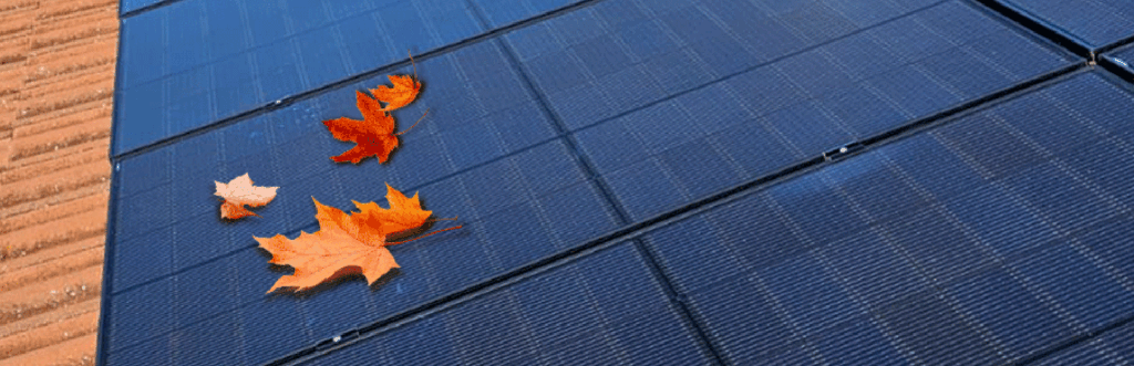 /autumn-winter-solar-panel-problems-and-protection-guide