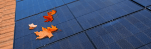/autumn-winter-solar-panel-problems-and-protection-guide