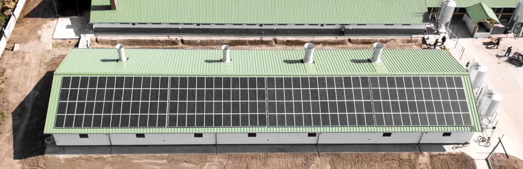 Do Solar Panels Lose Efficiency Over Time?