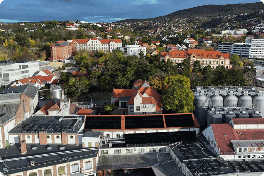 Roof reflectivity, installation method and rear-side light exposure directly affect the additional yield from bifacial solar panels.