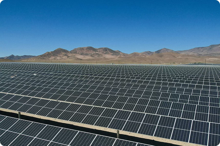 Large ground-mounted solar power plant array, showing the deployment scale of leading global solar panel manufacturers in utility-scale projects